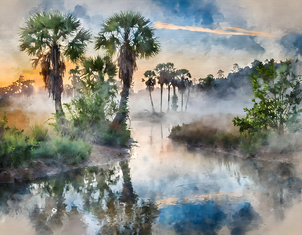 Bayou Sunrise Reflections Digital Download