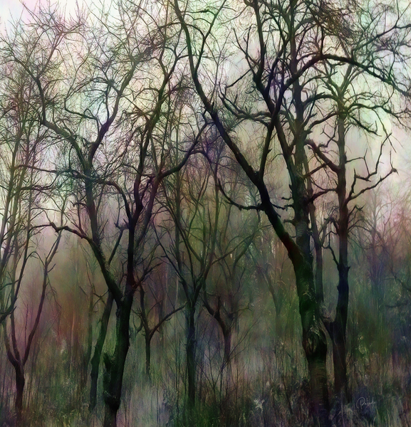 Finding Winter Colors Digital Download