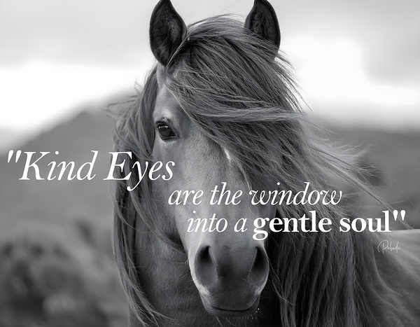 Kind Eyes Digital Download