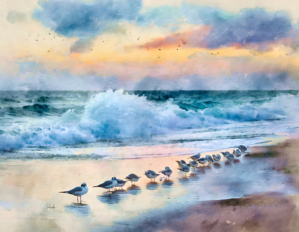 Sanderlings Along The Shore Digital Download