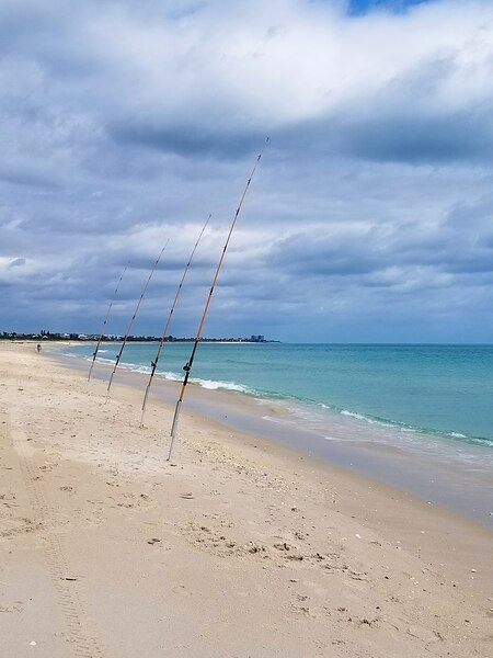 Shorefishing Téléchargement Numérique