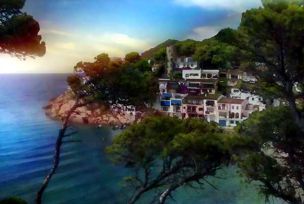 Sunrise Over The Island Cove Digital Download