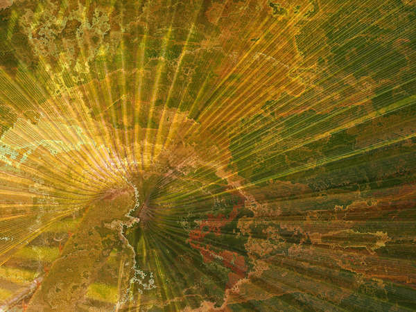 Palm Burst Rays Digital Download