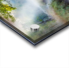 Dog Day Adventures Acrylic print