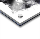 Bad Hair Day Kitty Acrylic print