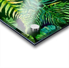 Tropical Leaves III Acrylic print