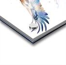 Hawk In Flight Ink Wash Acrylic print