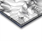 Tropical Tranparencies IV Impression Acrylique