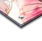 Caladium Colors III Acrylic print