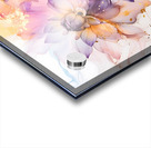 Dahlias Study II Acrylic print