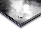 The Stormy Woods Acrylic print