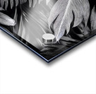 Shades of Night Tropics II Impression Acrylique