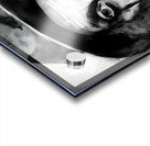 Mr. Clown Acrylic print