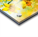Bright Daffodills Acrylic print