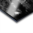 Willow Water Reflections Acrylic print