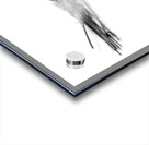 Dried Grasses and Flower Pods Impression Acrylique