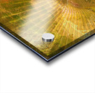 Palm Burst Rays Acrylic print