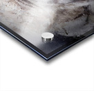 Sleepy White Tiger Acrylic print