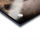 North American Brown Bear Impression Acrylique