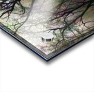 Finding Winter Colors Acrylic print