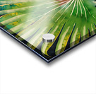 Tropical Palms III Acrylic print