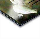 Egret Impression Acrylique