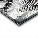 Zany Zebra Impression Acrylique