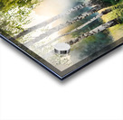 Birch Glen Stone Bridge Acrylic print