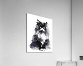 Bad Hair Day Kitty Acrylic Print