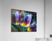 Golden Lit Tulips Acrylic Print