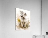 Mr. Dibs III Acrylic Print