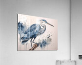 Great Blue Heron Ink Wash Acrylic Print