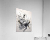 The Swan Ink Wash Acrylic Print