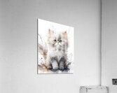 Seal Point Persian Kitten Acrylic Print