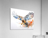 Hawk In Flight Ink Wash Acrylic Print