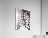 Tropical Transparencies III Acrylic Print