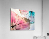 Caladium Colors III Acrylic Print