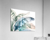 Banana Leaves Ink Wash III Acrylic Print