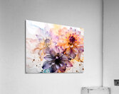 Dahlias Study II Acrylic Print