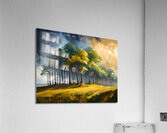 The Light Over The Tree Copse Impression acrylique