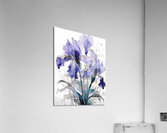 Irises Ink Wash Acrylic Print