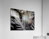 Shades of Night Tropics II Impression acrylique