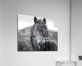 Kind Eyes Acrylic Print