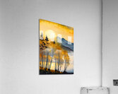 Golden Birches VII Acrylic Print