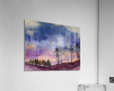 The Fall Into Winter Acrylic Print