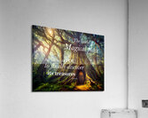 Magical Treasures Acrylic Print