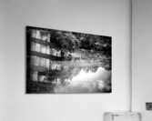 Willow Water Reflections Acrylic Print