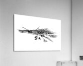 Dried Grasses and Flower Pods Impression acrylique