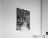 The Wooden Path Acrylic Print