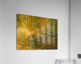 Palm Burst Rays Acrylic Print